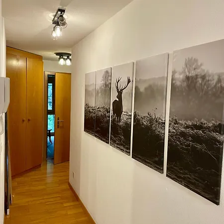 Apartment Gemmiblick *